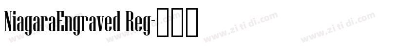 NiagaraEngraved Reg字体转换